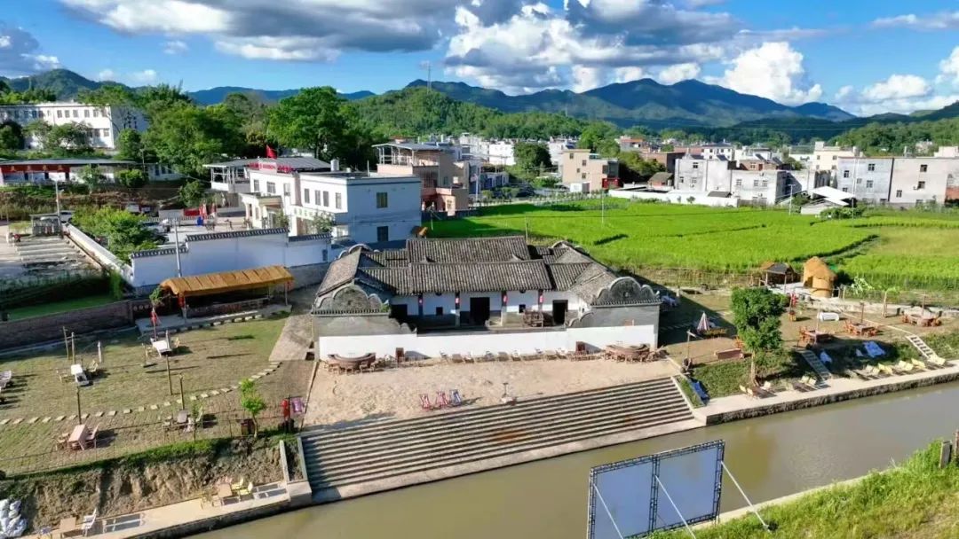 【粵來粵好百千萬】黃花村：創客“引擎”激活鄉村運營，打造“百千萬工程”雙增收新樣板